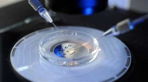 助孕公司代孕妈妈_靠谱的代孕公司,胚胎移植是什么意思,移植胚胎一个跟两个的