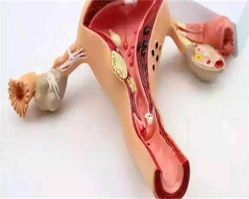 助孕生殖公司-四川成都私立医院做试管婴儿多少钱？