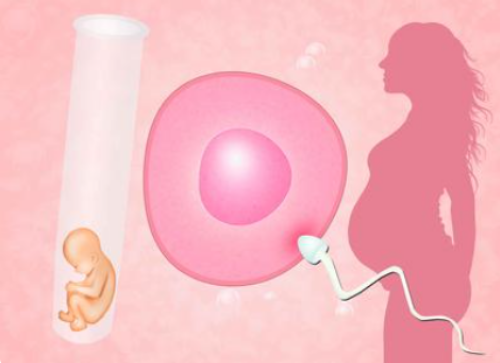 好的代孕公司,【试管先知】国内黄体期方案经验紧缺,2点促排弊端需了解