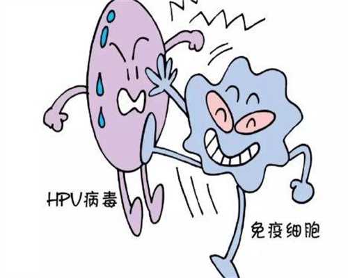 什么茶准成都助孕妈妈可以喝