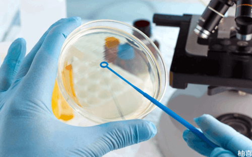 剖腹产恶露多久干净？剖腹产后恶露多久同房吗？