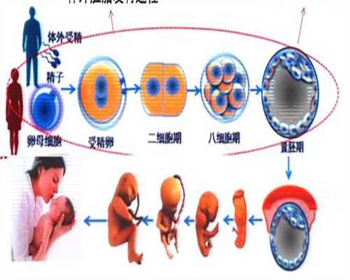 三代试管成功抱男宝啦！姐妹们的攻略贴来啦