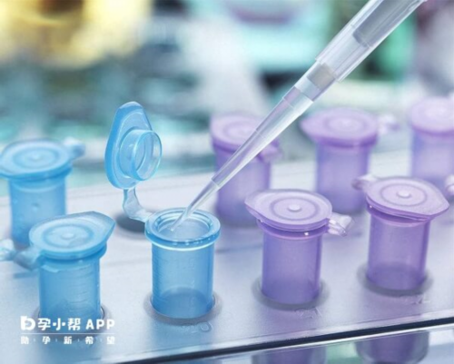 供卵助孕包男孩_助孕包男孩,
              叶酸tt型整个孕期吃爱乐维还是活性叶