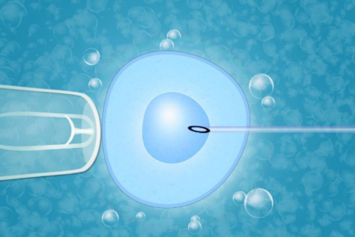 代生双胞胎包男孩_有信誉包成功代生,
              免疫性不孕做试管婴儿能成功