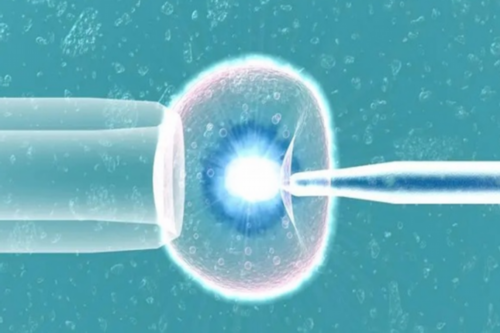 工作还是当全职成都助孕妈妈?