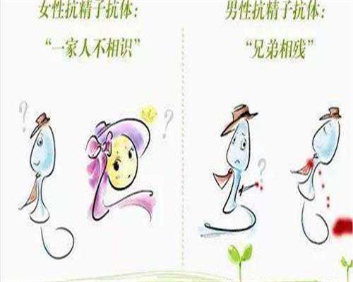 成都供卵中心医院地址,成都试管婴儿6家医院费用对比 全流程价格不贵