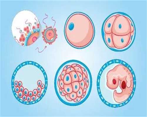 成都供卵套餐价格表,
成都正规生殖医院供卵费用大概多少?