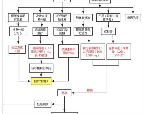 5.29 取卵受精结果