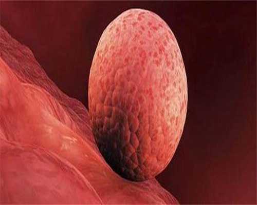 两例非常困难的患者，移植一次皆怀孕，是怎