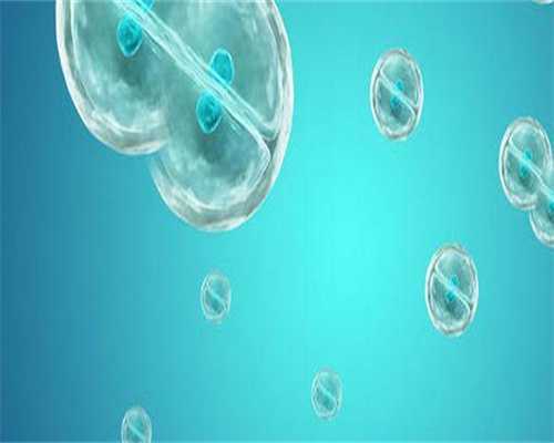 专业试管代孕网站_最可靠代孕中心,试管体外受精胚胎移植方案可行吗