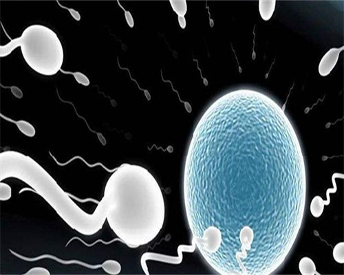 成都可以供卵的地方,成都武侯区试管婴儿可以做吗！成都市哪些医院可以做试