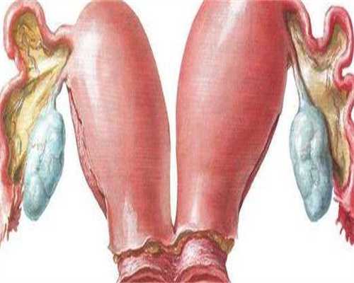 供卵代孕哪家可靠_正规代孕的费用,试管流程时间和费用(试管婴儿详细流程时间