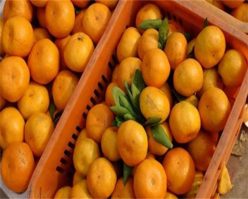 成都第三代试管婴儿医院排行榜