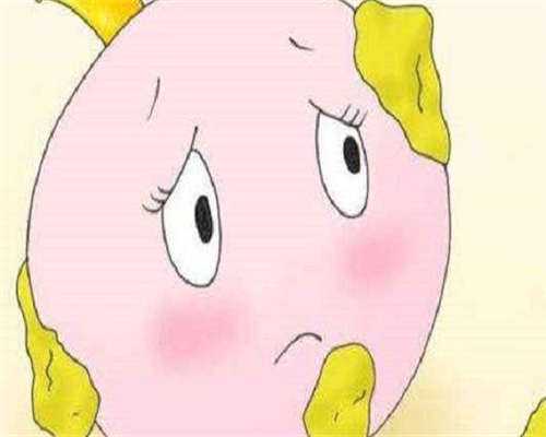 国内助孕补偿_正规代怀网,做试管只有一个卵泡怎么办？做试管只有一个受精卵