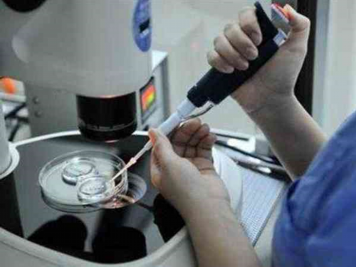 国内供卵机构排行_有代孕正规医院吗,三代试管婴儿能保证胚胎染色体不出问题