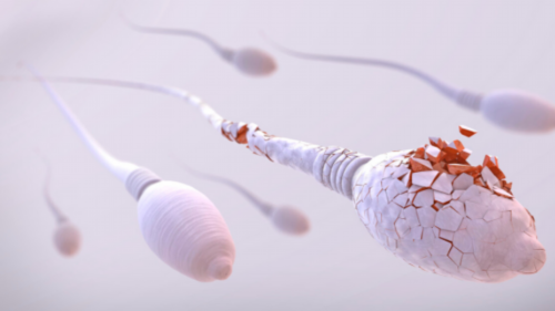 成都招聘助孕服务员,成都做试管生宝宝大概要多少钱