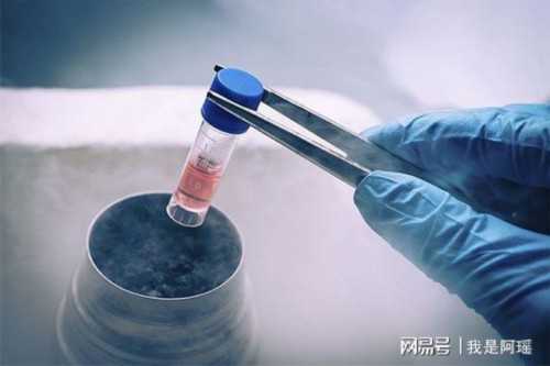 在四川哪家做试管最好的医院 四川省做试管婴儿最好的医院