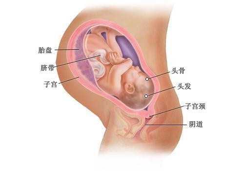 北京代怀孕价格表,生化妊娠原因是什么怎么避免
