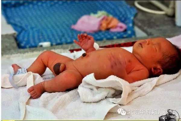北京代孕八胞胎,安徽台一姐挺大肚录加油视频，