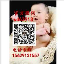 成都中国 代孕 价格_成都做代孕能生男孩吗_成都世纪代怀孕包男孩