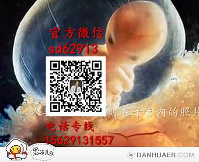 成都2020代孕志愿者_成都靠谱供卵机构_成都世纪助孕官网