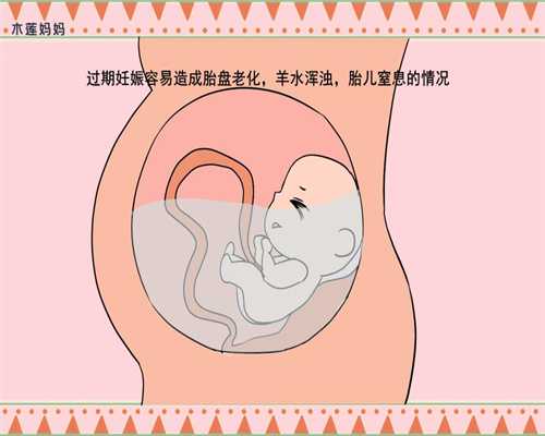 成都有代孕的没有-供卵自怀到底好不好_兰大医院可以做供卵试管吗泰国第三代