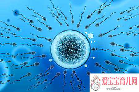 中国代孕机构排名-成都代孕的多少钱_培养宝宝专注力，在家赶紧给宝宝做起来